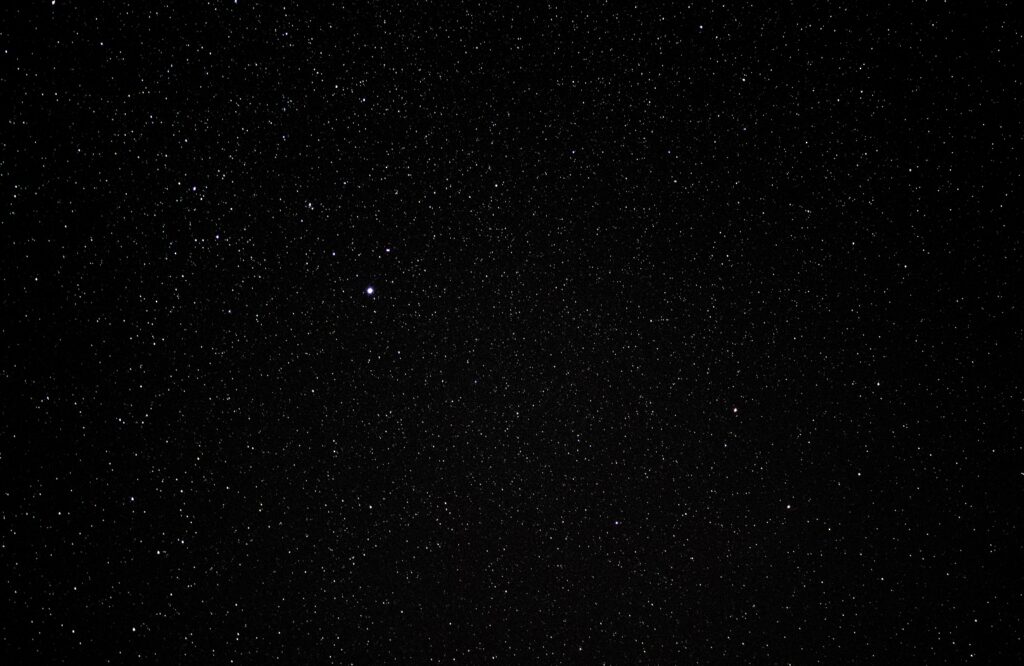 Flybird Weight Bench Black Friday Building Mass Muscle