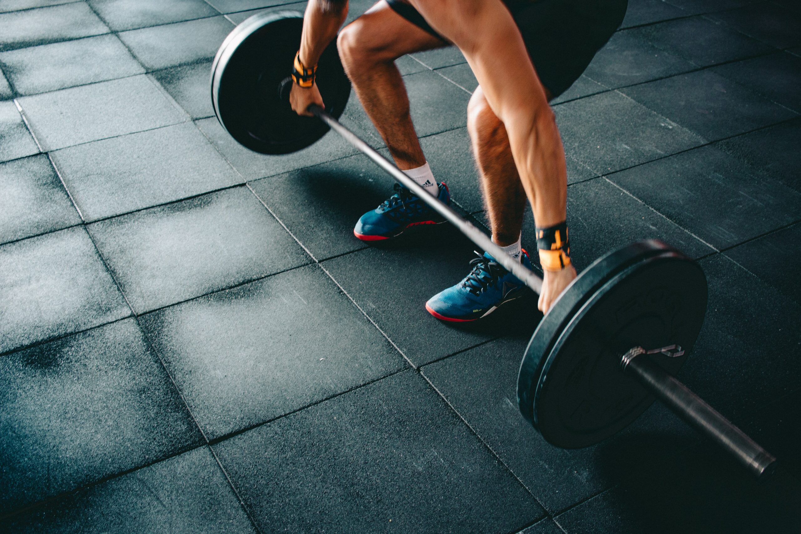 Flybird Weight Bench Exercises