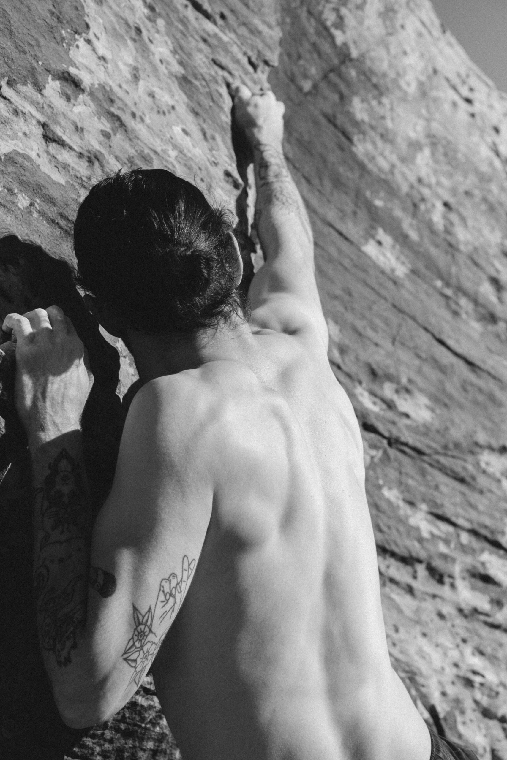 Muscle Recovery Supplements